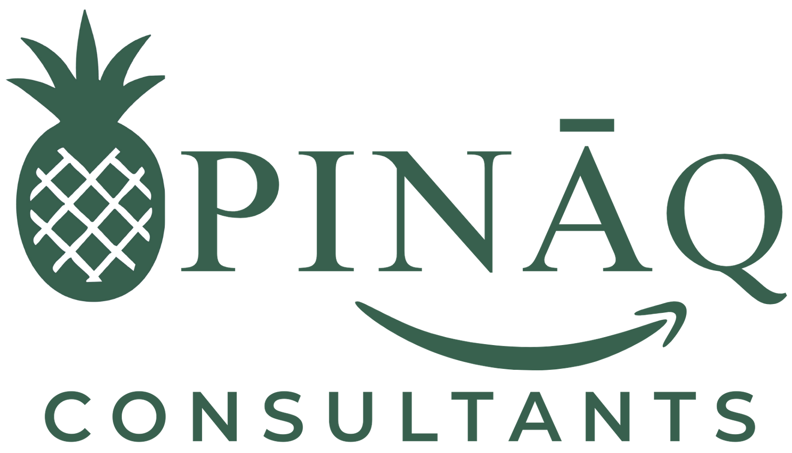 Pinaq Consultant
